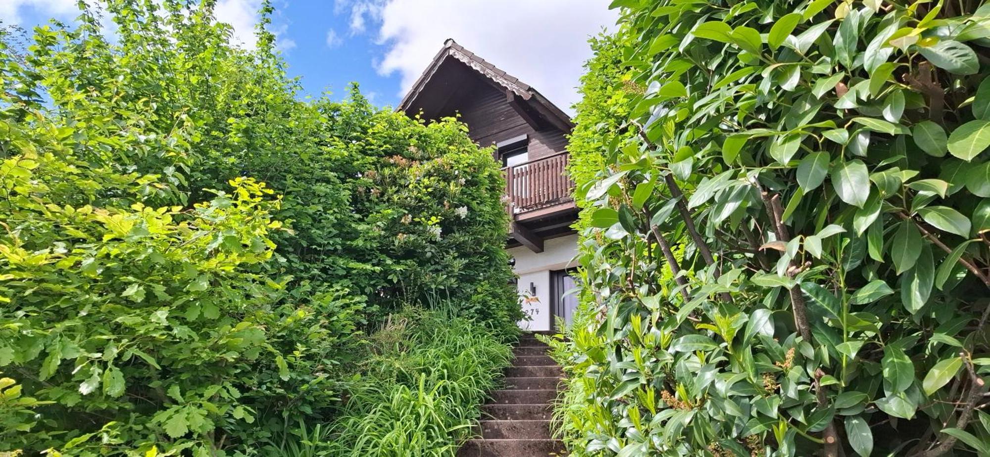 Willa Odenwald Lounge Reichelsheim Zewnętrze zdjęcie